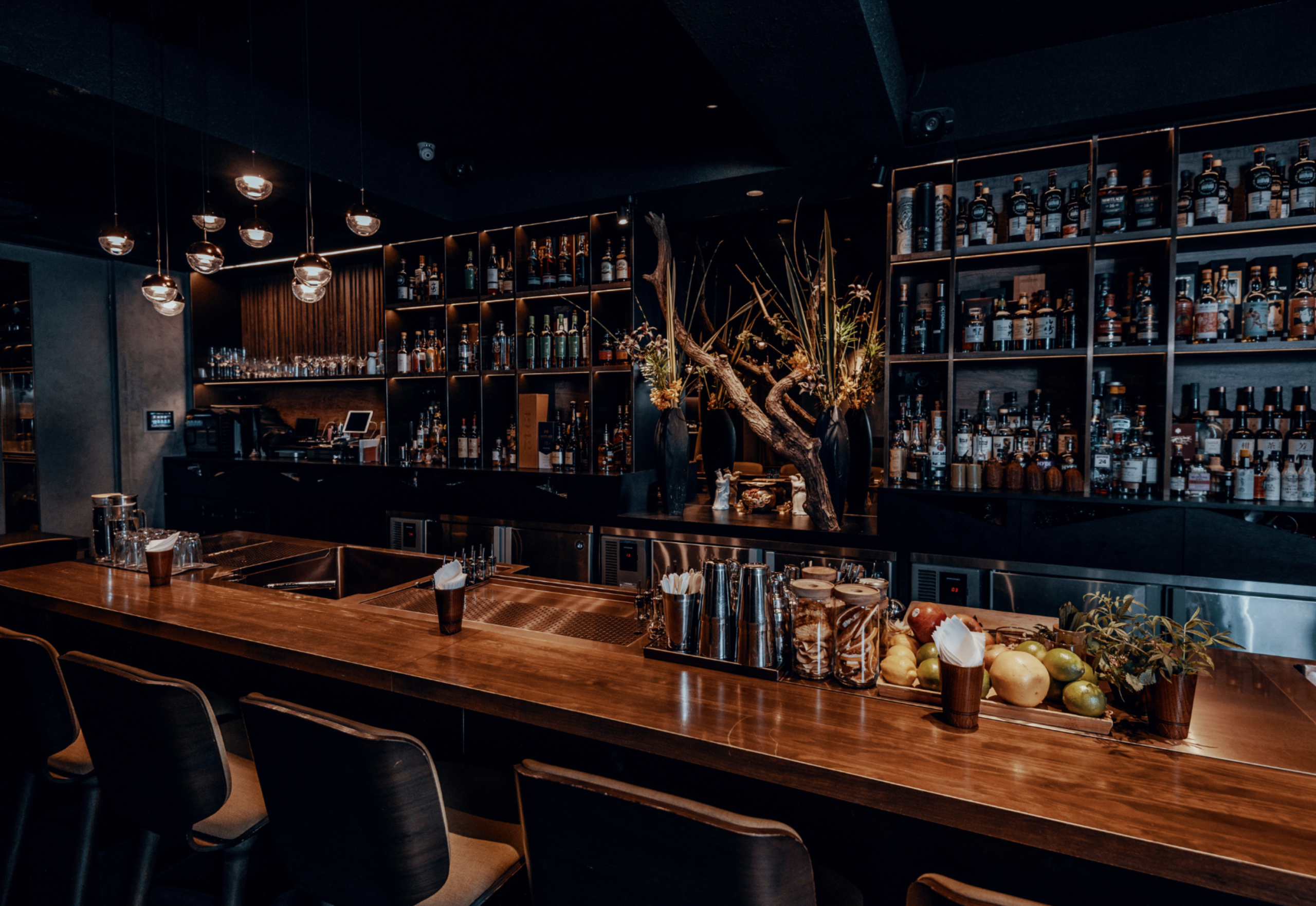 venice bar
